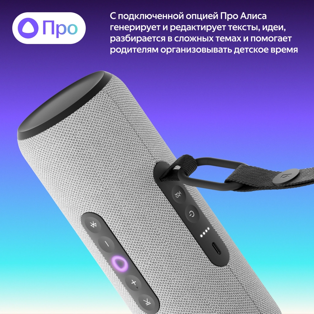 Умная колонка Yandex Стрит Алиса серый 30W 2.0 BT/Wi-Fi 10м 3300mAh (YNDX-00030GRY)