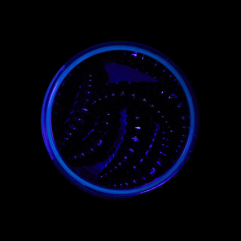 Форелевая приманка "Minoga" MAGGOT 1,6"(8шт) 40мм, 2,5гр, цвет 09