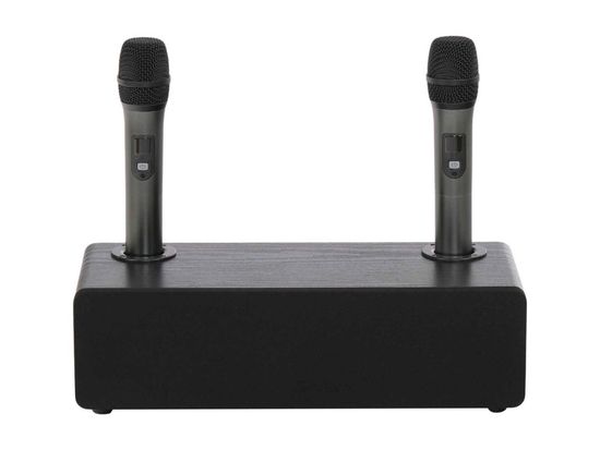 Акустическая система, активная, 2 беспроводных микрофона, Foix TV32-BK