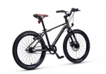 Maxiscoo "7BIKE" 20'' M700 (2024)