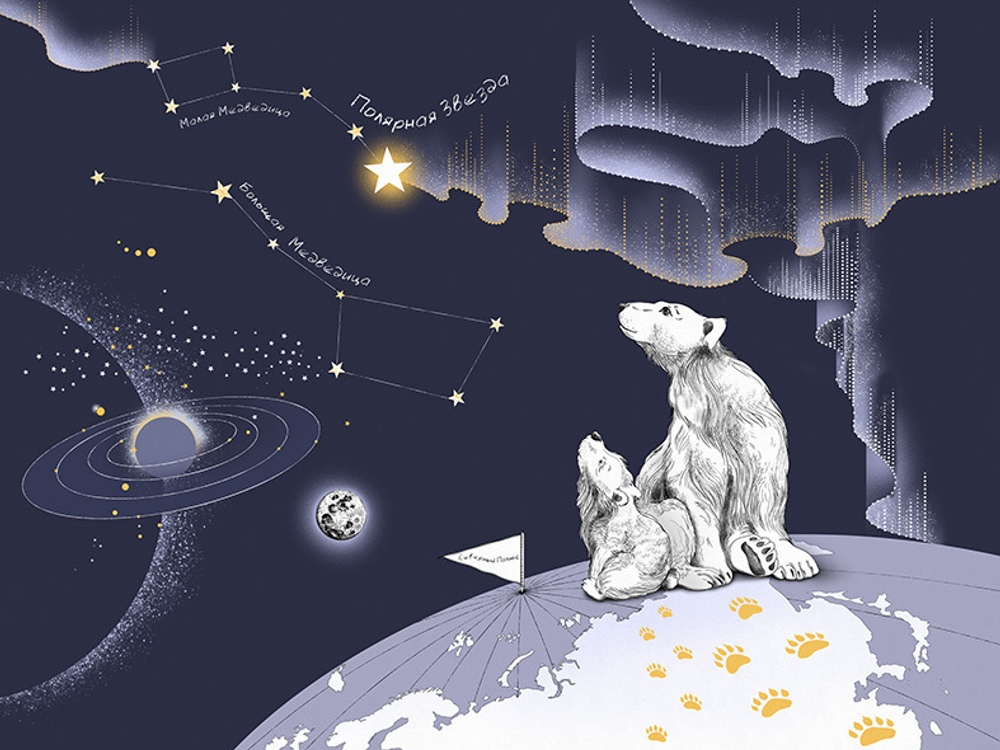 Коллекция COSMOS 25