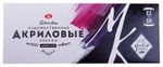 Краски акриловые художественные "Мастер-класс", НАБОР 12 цветов по 18 мл, в тубах, 12341417