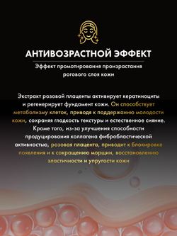 Высокоэффективная сыворотка для ухода за кожей, плацента дамасскй розы GINZA TOMATO First Serum, 30мл