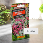 АЛИССУМ Двойное сияние смесь Аэлита Ц (10шт)