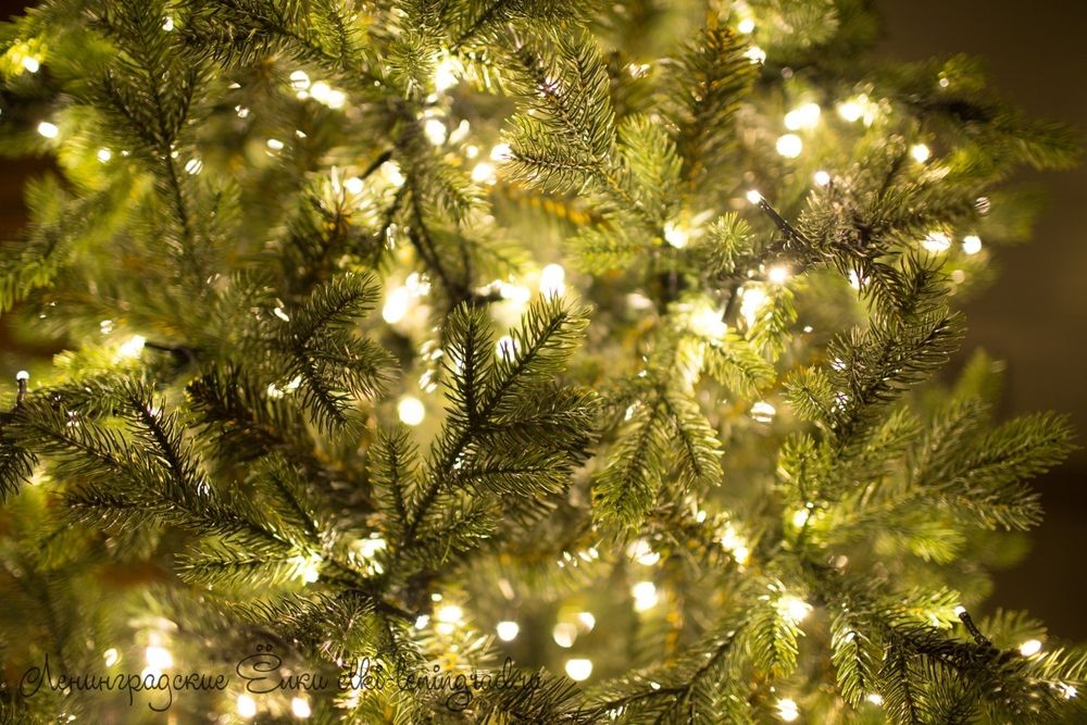 "ГРАЦИО ПРЕМИУМ" Светящаяся 15