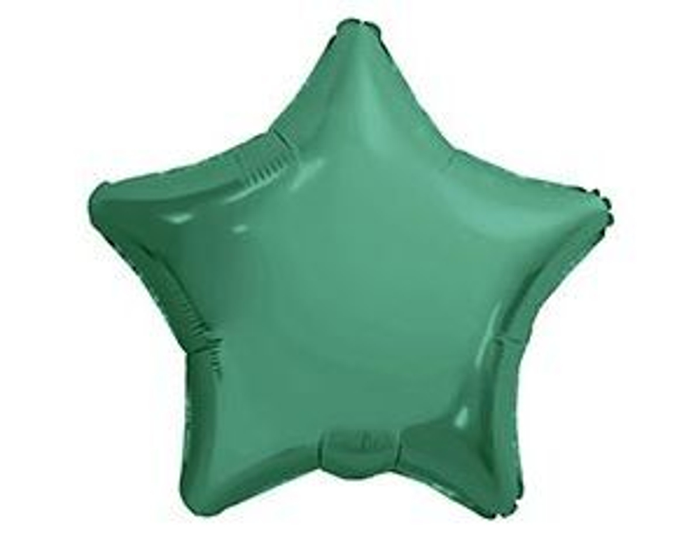 Звезда кактус Бохо