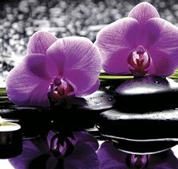 Стеновая панель 2800*610*6 (SP-121 глянец)