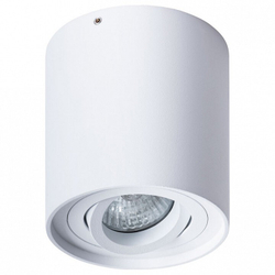 Накладной светильник Arte Lamp A5645PL-1WH