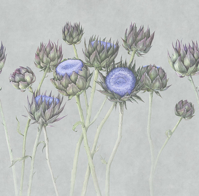 Дизайнерские обои Factura ARTICHOKE