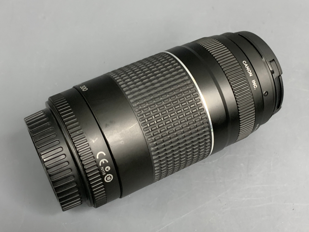 Canon EF 75-300mm 4-5.6 III