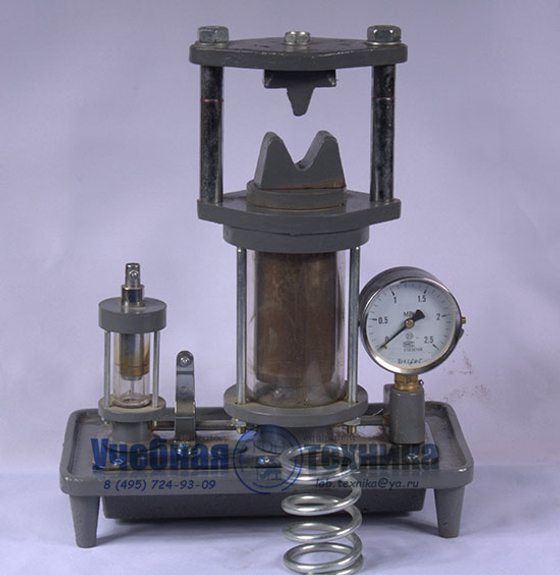 Модель конечности овцы