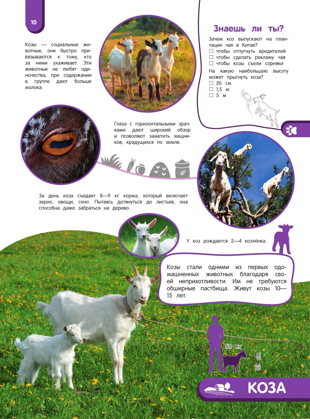 Удивительный мир животных. Энциклопедия для детей