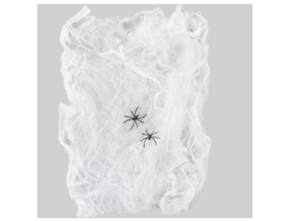 Паутина с 2 пауками светящ в темн 1х1м