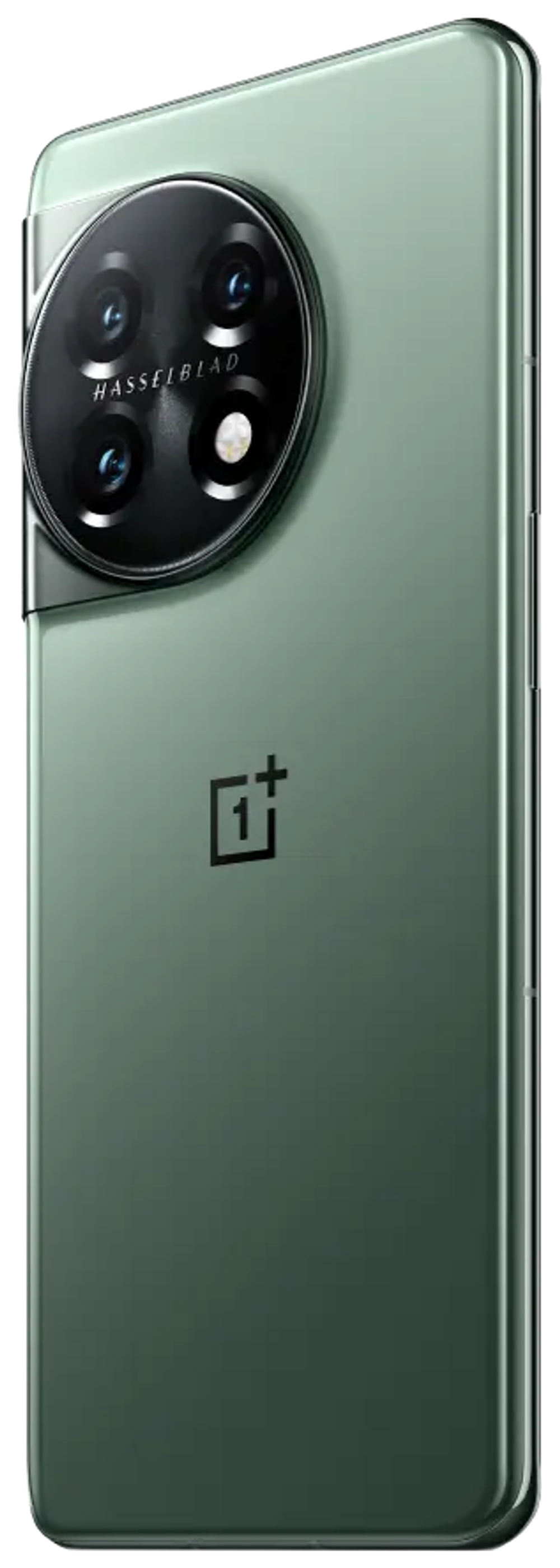 OnePlus 11 16/256Gb Eternal Green EU