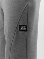 Брюки мужские Акс Виотекс СЕРЫЙ