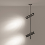 Подвесной светильник Maytoni Elti C021CL-02B