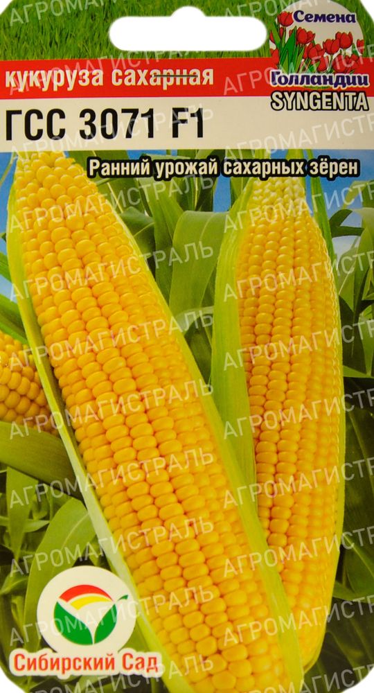 Кукуруза ГСС 3071 Сиб сад Цх10