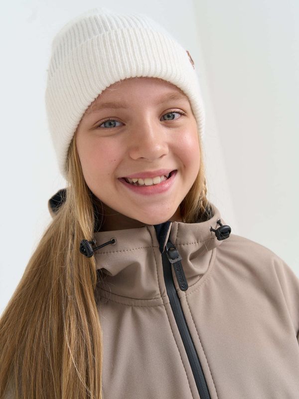 Парка Softshell 