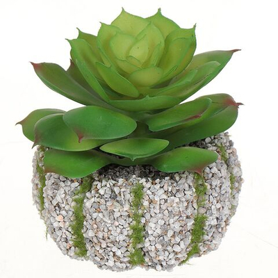 Цветок искусственный декоративный Суккулент, в кашпо, 12 см, Y4-2806