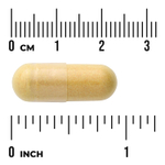 Swanson Vitamins, Очищение с мочевой кислотой, 60 веганских капсул