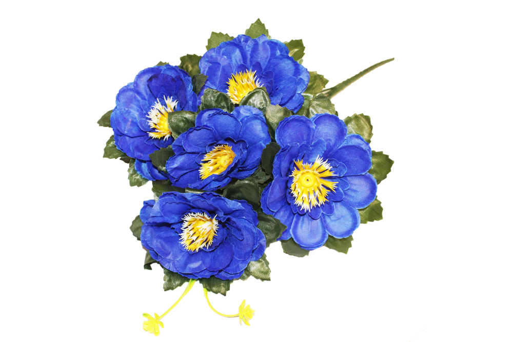 Букет георгинов с круглыми лепестками