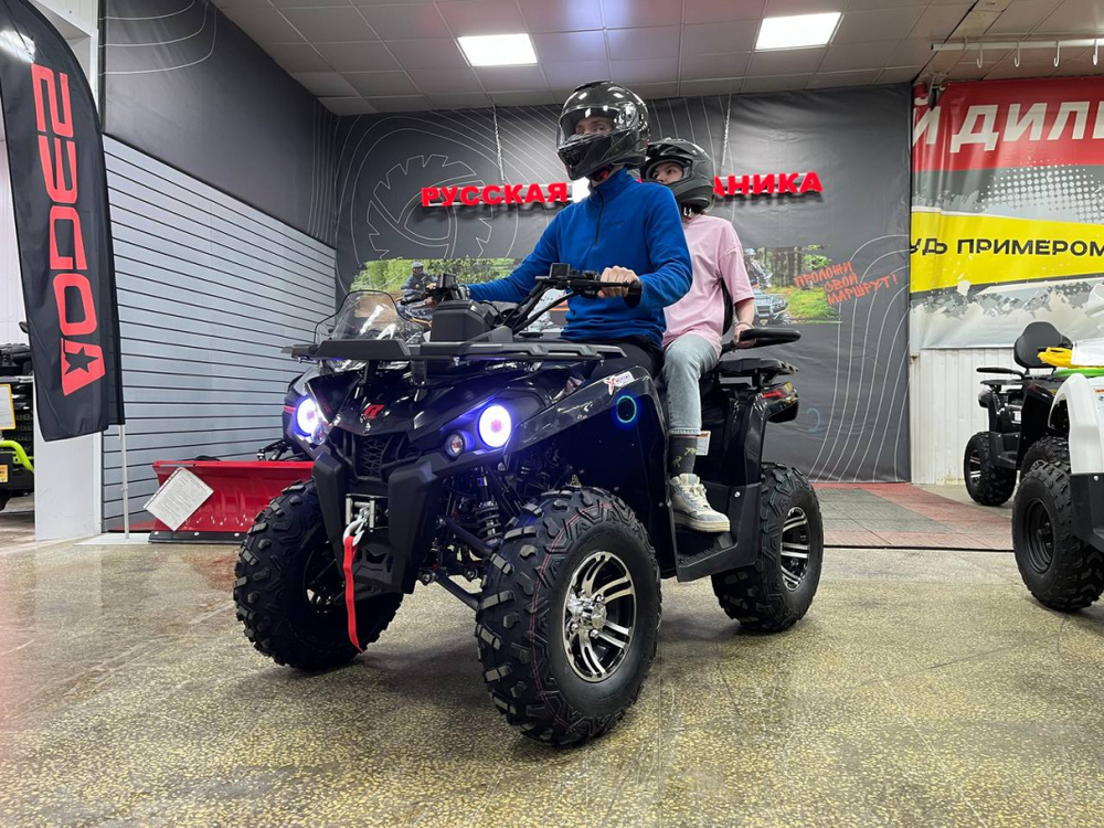 Квадроцикл PROMAX RENEGADE 300 LONG WINCH PRO (2025)