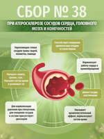 Сбор № 38 При атеросклерозе сосудов сердца, головного мозга и конечностей