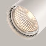 Трековый светильник Technical TR003-1-10W3K-S-W