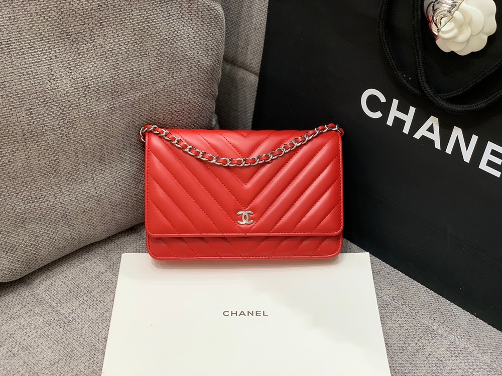 Chane1 WOC 19 cm