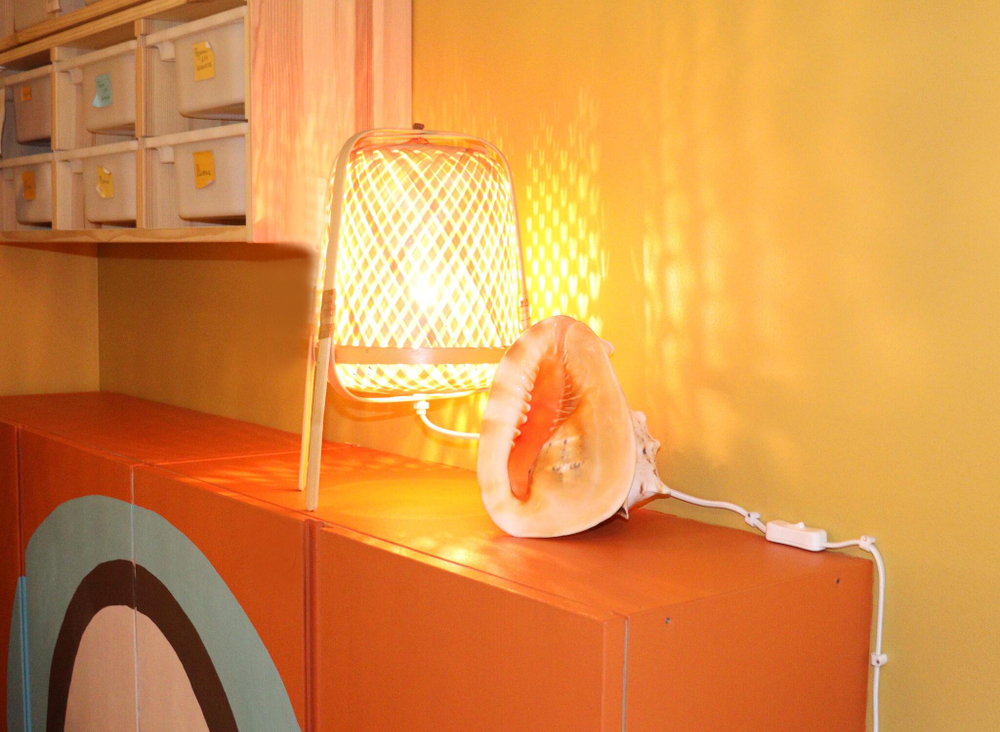 Морская раковина Кассис корнута в интерьере яркой гостиной