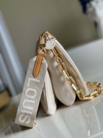 Louis Vuitton Coussin PM