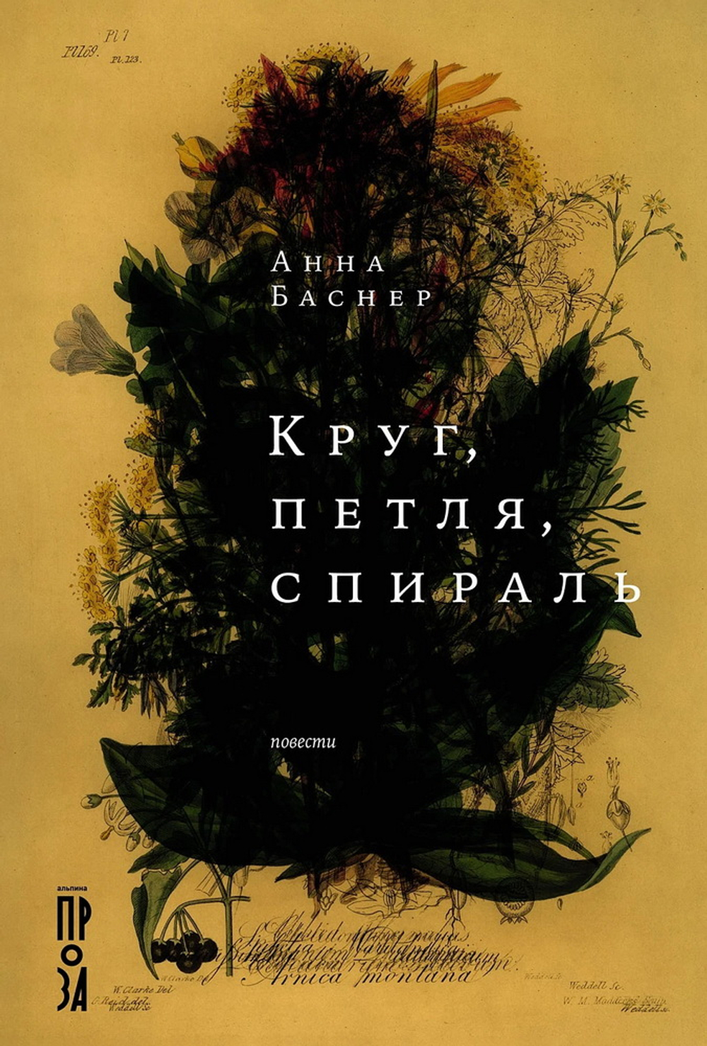 Круг, петля, спираль