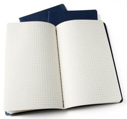 Блокнот Moleskine Cahier Large в клетку (QP317)