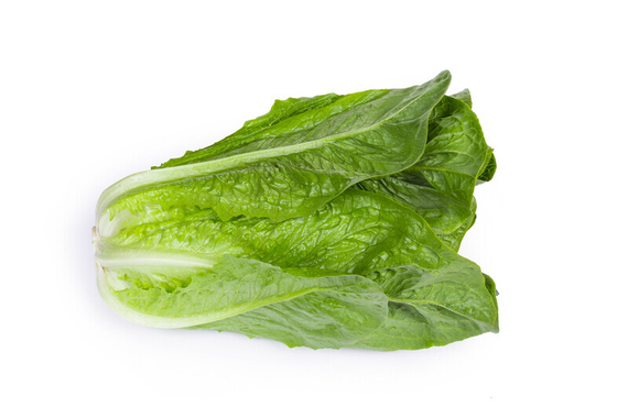 КЕОНА семена салата Rijk Zwaan цена – фото 4