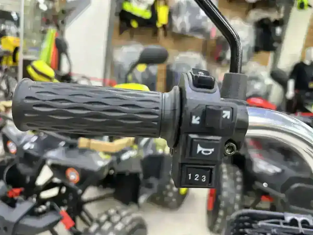 Электровелосипед MOTAX E-NOT Express Lux 60V12Ah К