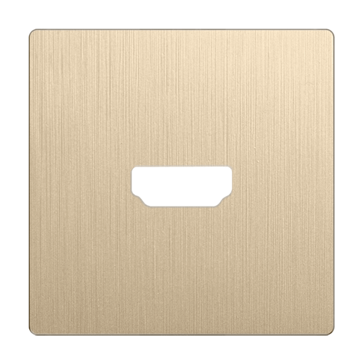 Накладка Werkel для розетки HDMI шампань рифленый WL10-HDMI-CP 4690389128332