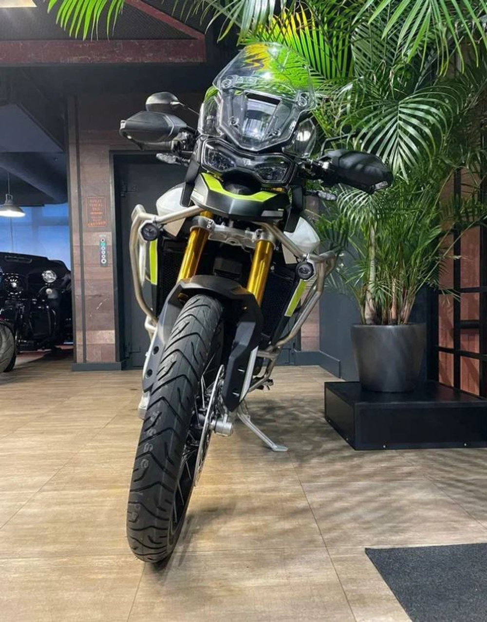 Tiger 900 Rally Aragon Edition