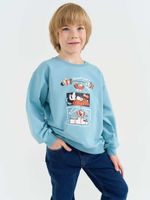 Свитшот Бодо Бородо "Аква" облегченный