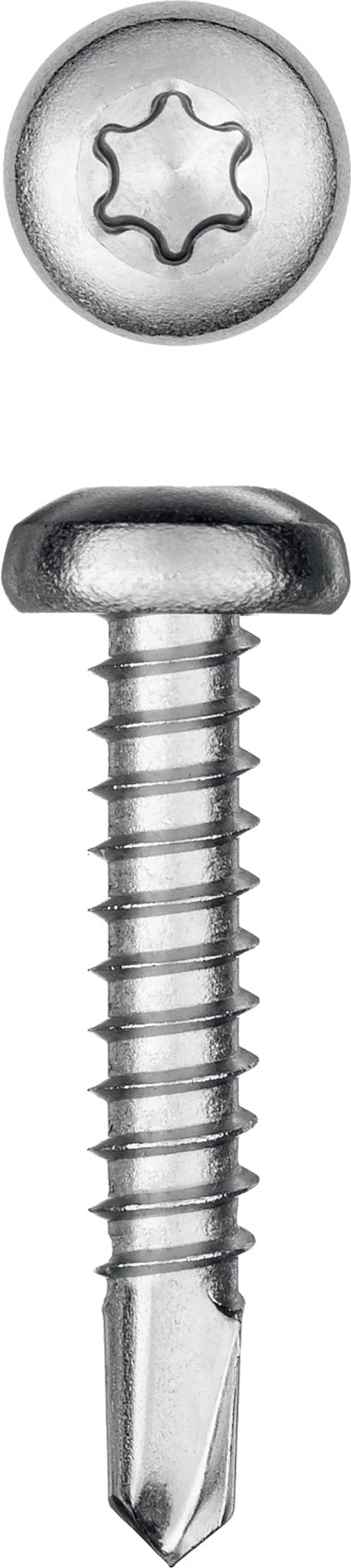 KRAFTOOL DS-P, 25 х 4.2 мм, А2, сверло, полукруглая головка, ТХ20, 400 шт, саморез нержавеющий (300931-42-025)