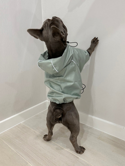 Универсальная куртка дождевик для собак Монморанси, цвет олива, размер L