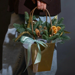 Новогодняя композиция Елка в сумке (цитрус)