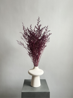 Кермек винный