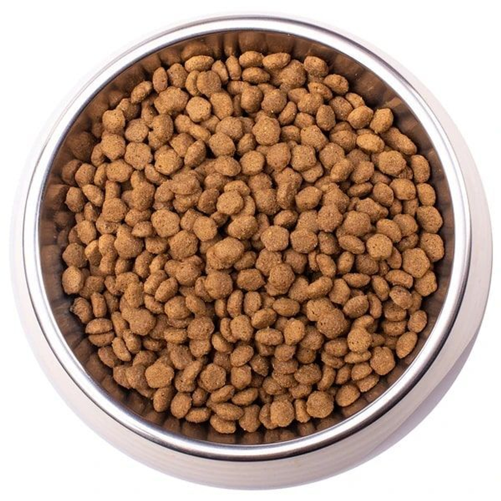 Ветеринарная диета Monge VetSolution Cat Obesity Обесити для кошек при избыточном весе 1,5 кг