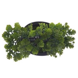 GAEM Цветочная композиция "Бонсай", L24 W14 H26 см, 2в.