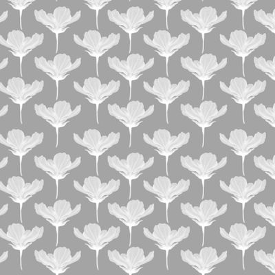 Космея на сером 2