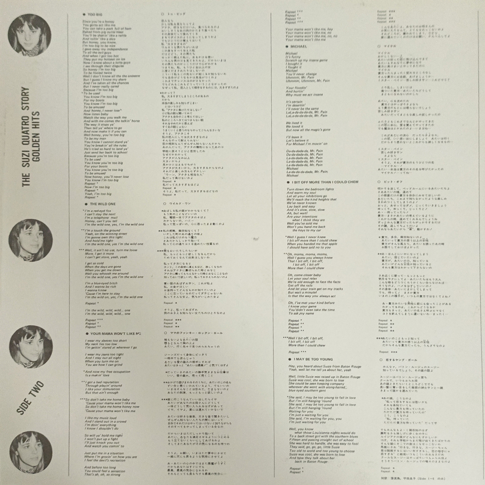 Suzi Quatro / The Suzi Quatro Story - Golden Hits (LP)