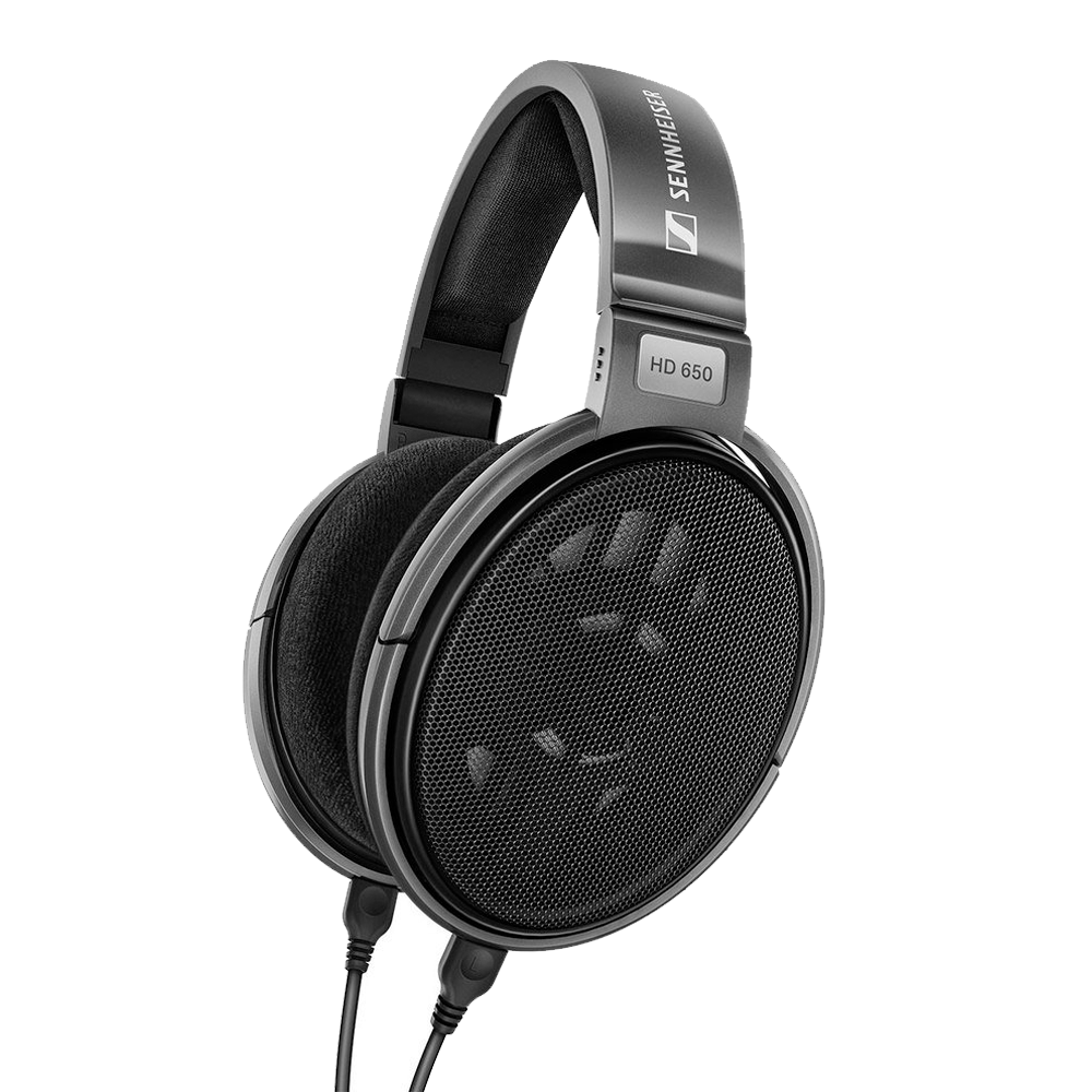 Проводные наушники Sennheiser HD650, Black