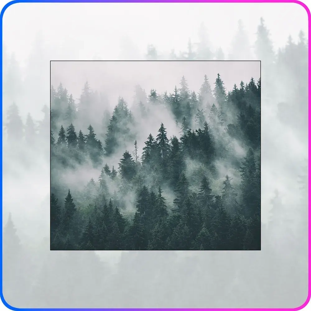 Фотообои 3d на стену флизелиновые Туманный лес 300х270 см Luxury Walls AM13103