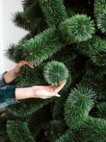 Ветка на крючке - хвоя леска