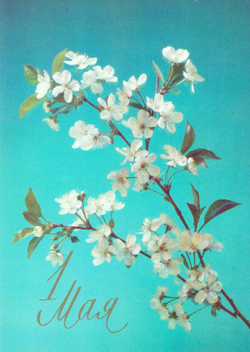 Открытка почтовая СССР "С 1 Мая!" Фото И. Дергилев